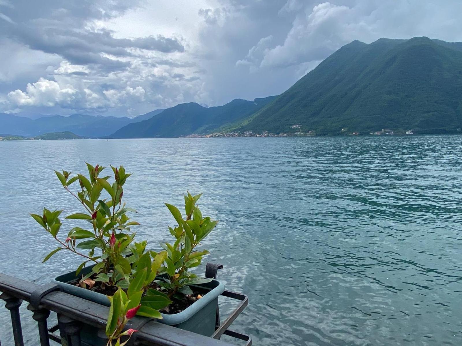 Argegno'S River - Central Apartment Lake View Oda fotoğraf